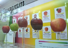 CMI Orchards – https://www.cmiapples.com/  